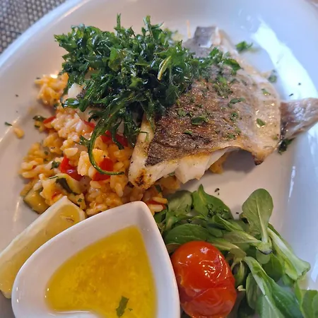 מלון Hotel Trogir 3*