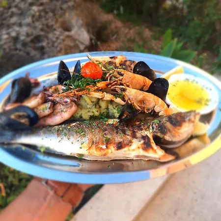 Hotel Trogir מלון 3*